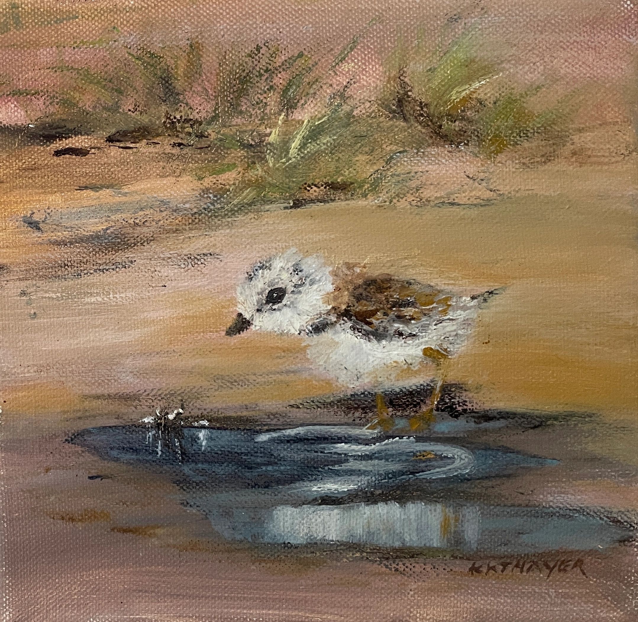 Shorebird