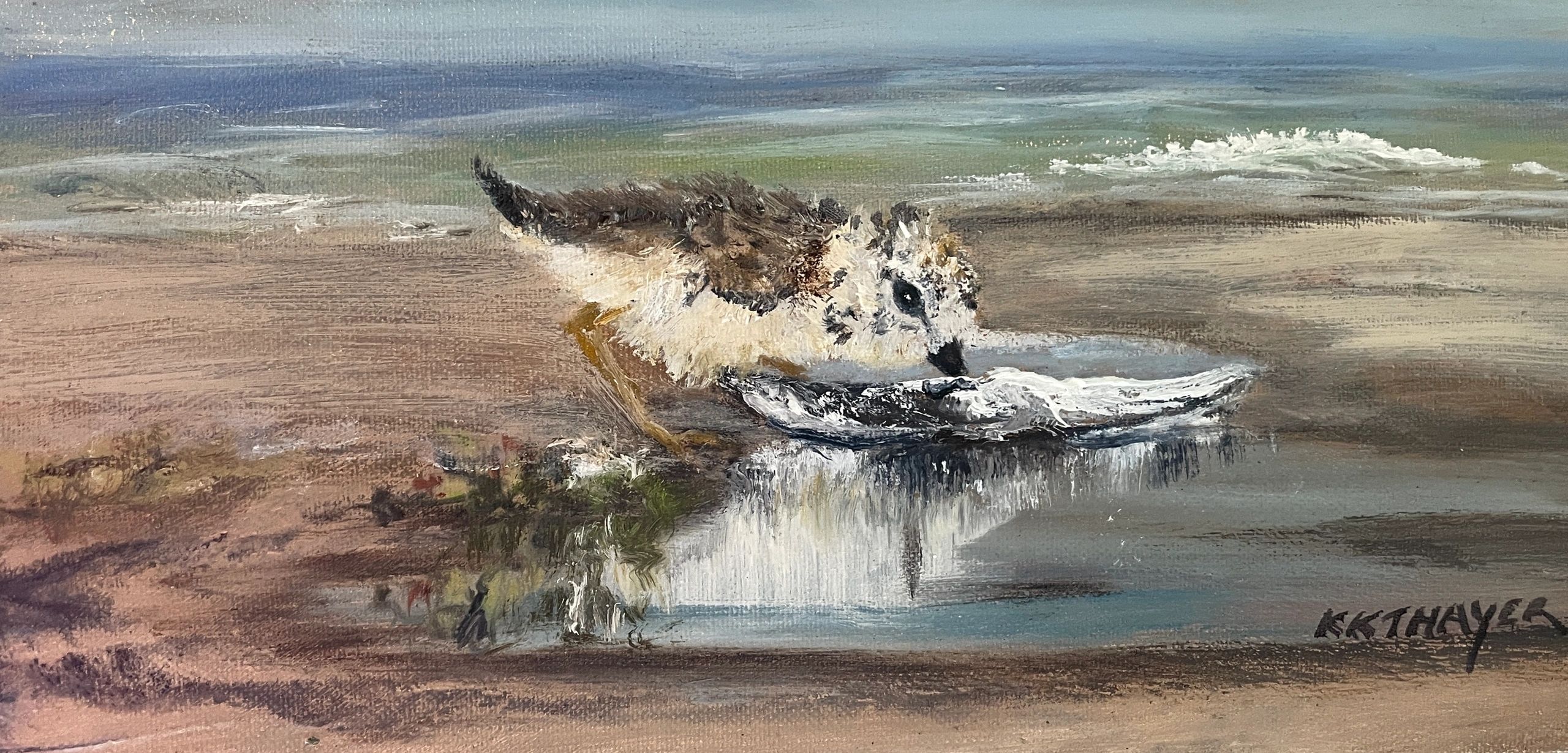 Chalk Cliffs
